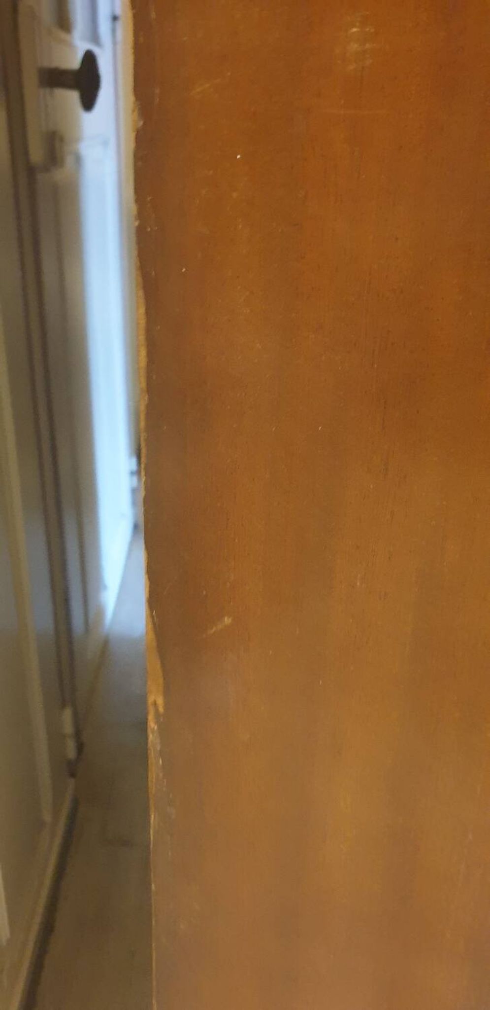 Shrager English Wardrobe