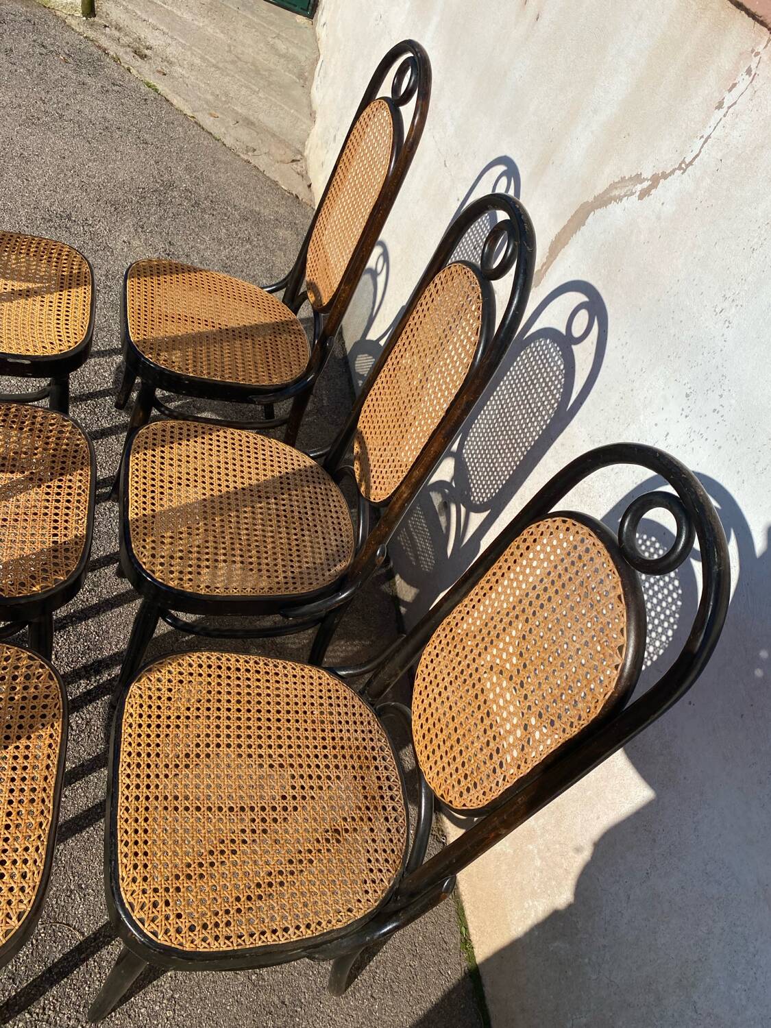 Set of 6 Salvatore Leone chairs