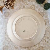 6 mismatched iron earth flat plates lot 3