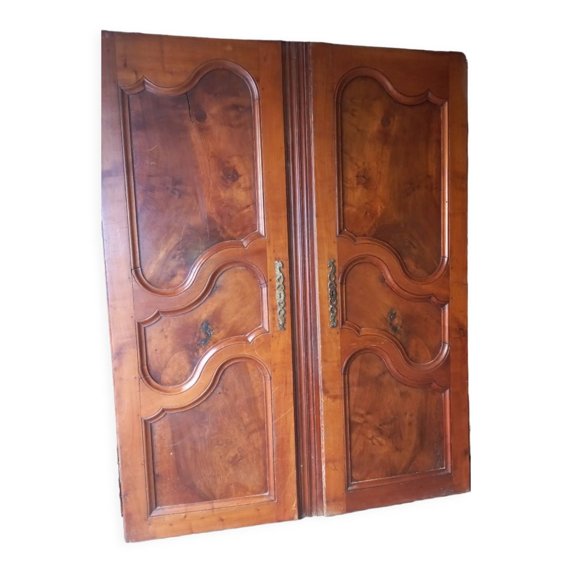Wardrobe door walnut cherry trees
