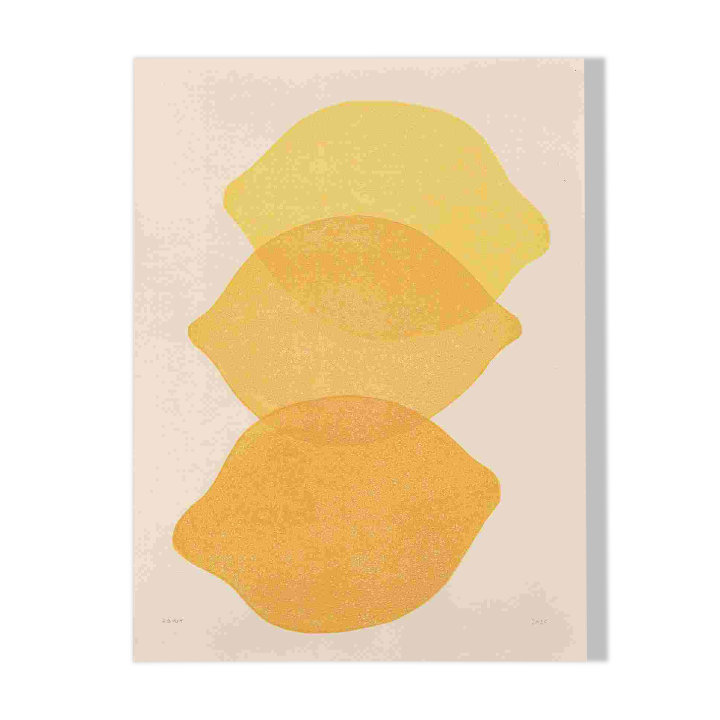 Painting on paper 30x40cm Lemon illustration painting signed Eawy