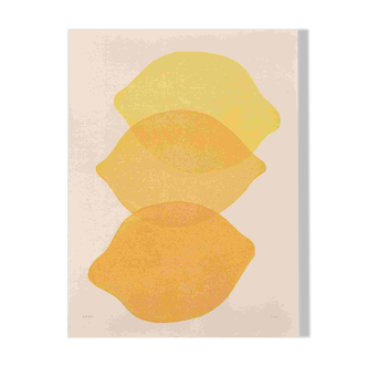 Peinture sur papier 30x40cm Tableau illustration citrons signé Eawy