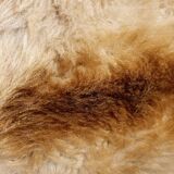 Pouf in fur