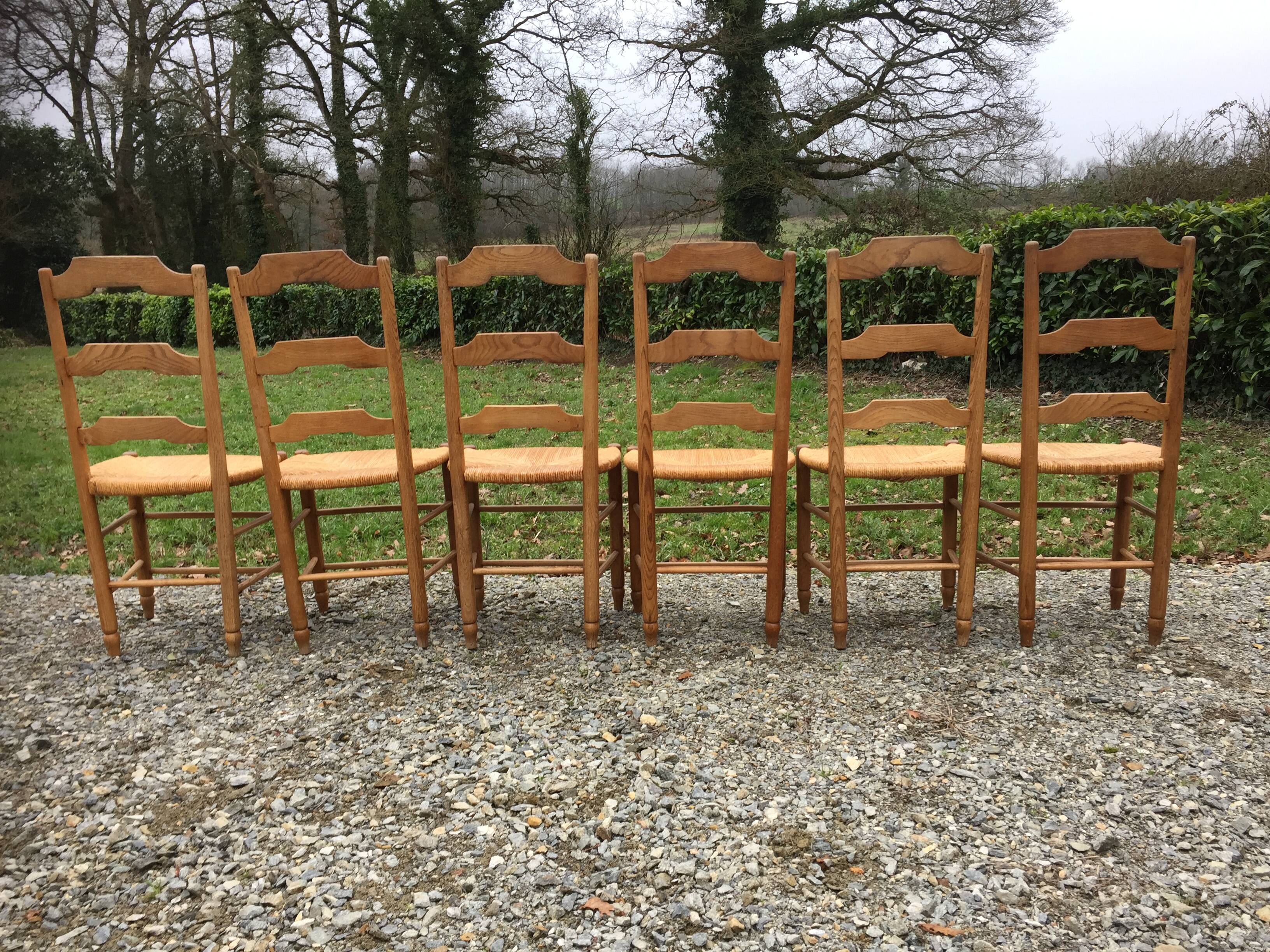 6 vintage mulched oak chairs