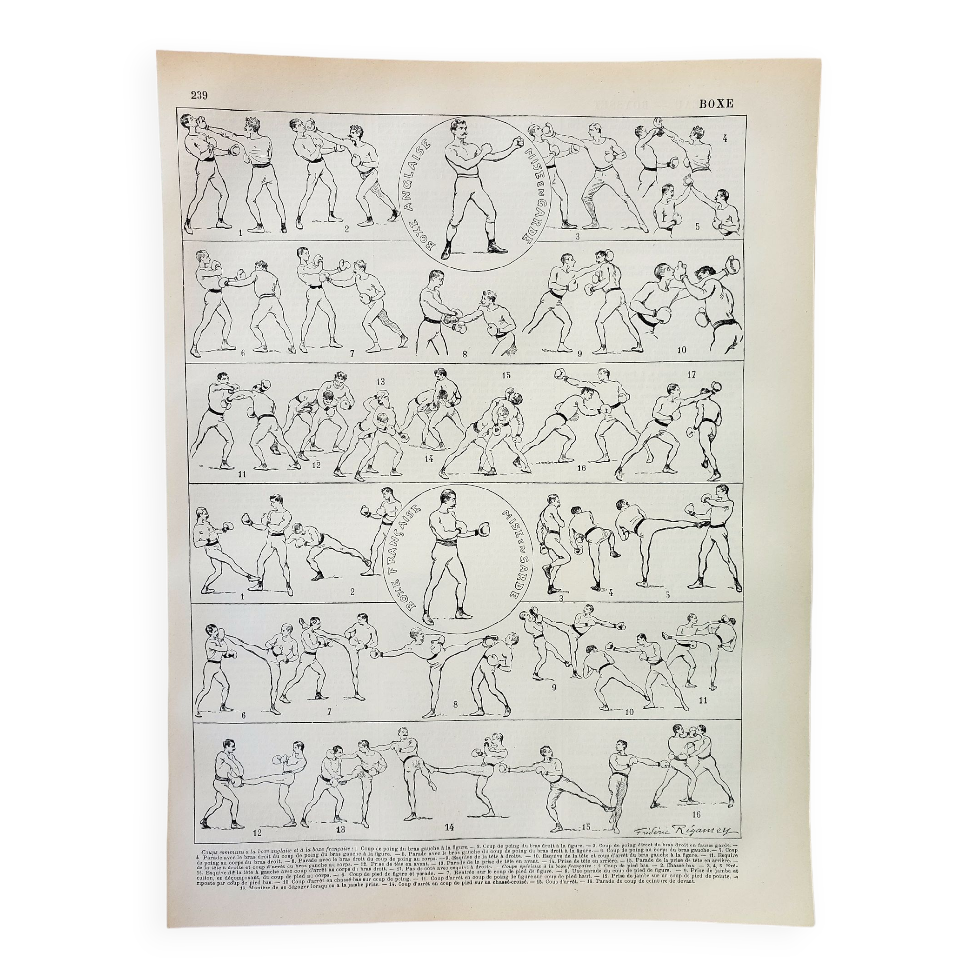 Engraving • Boxing, technique, combat sport • Original and vintage lithograph from 1898