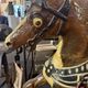 Carousel horse / decorative wooden horse, carved and varnished.