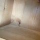 Antique storage furniture