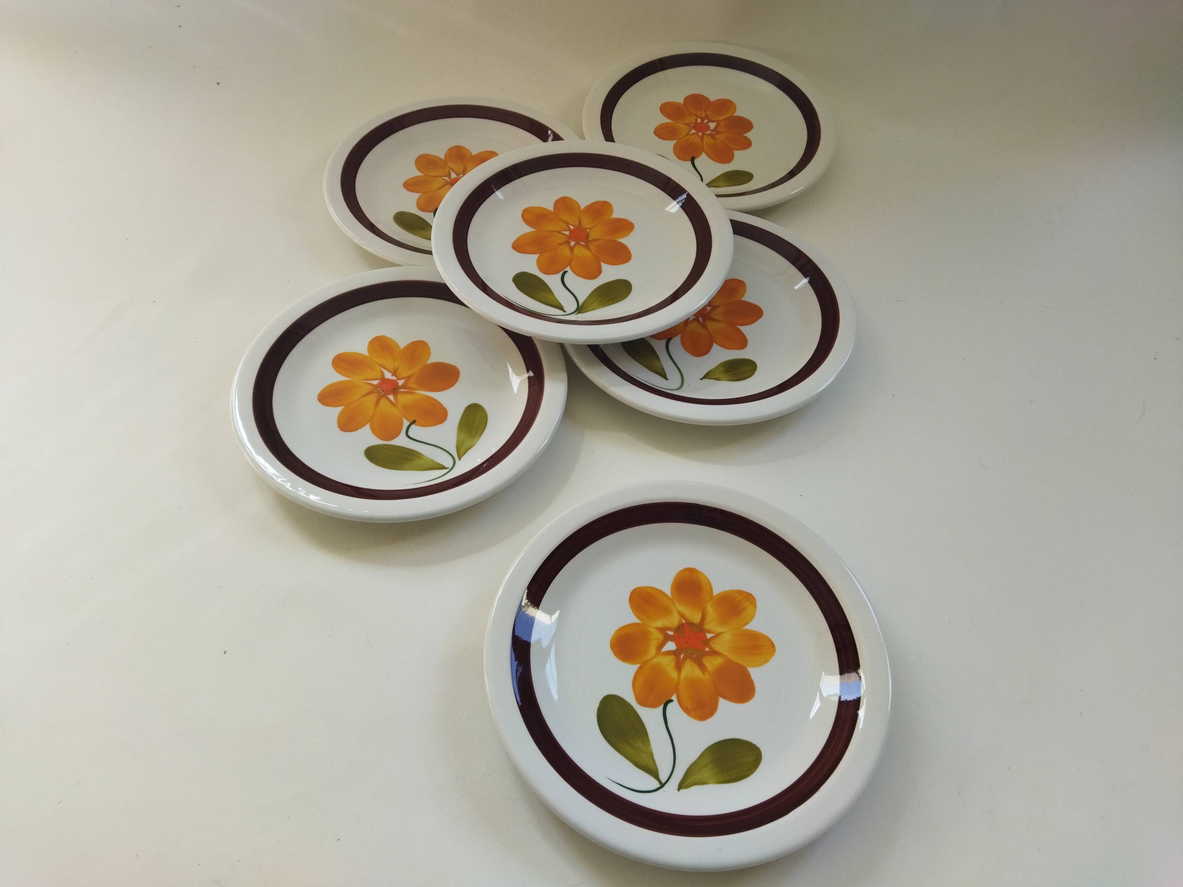 6 plates in vintage Italian earthenware 1970
