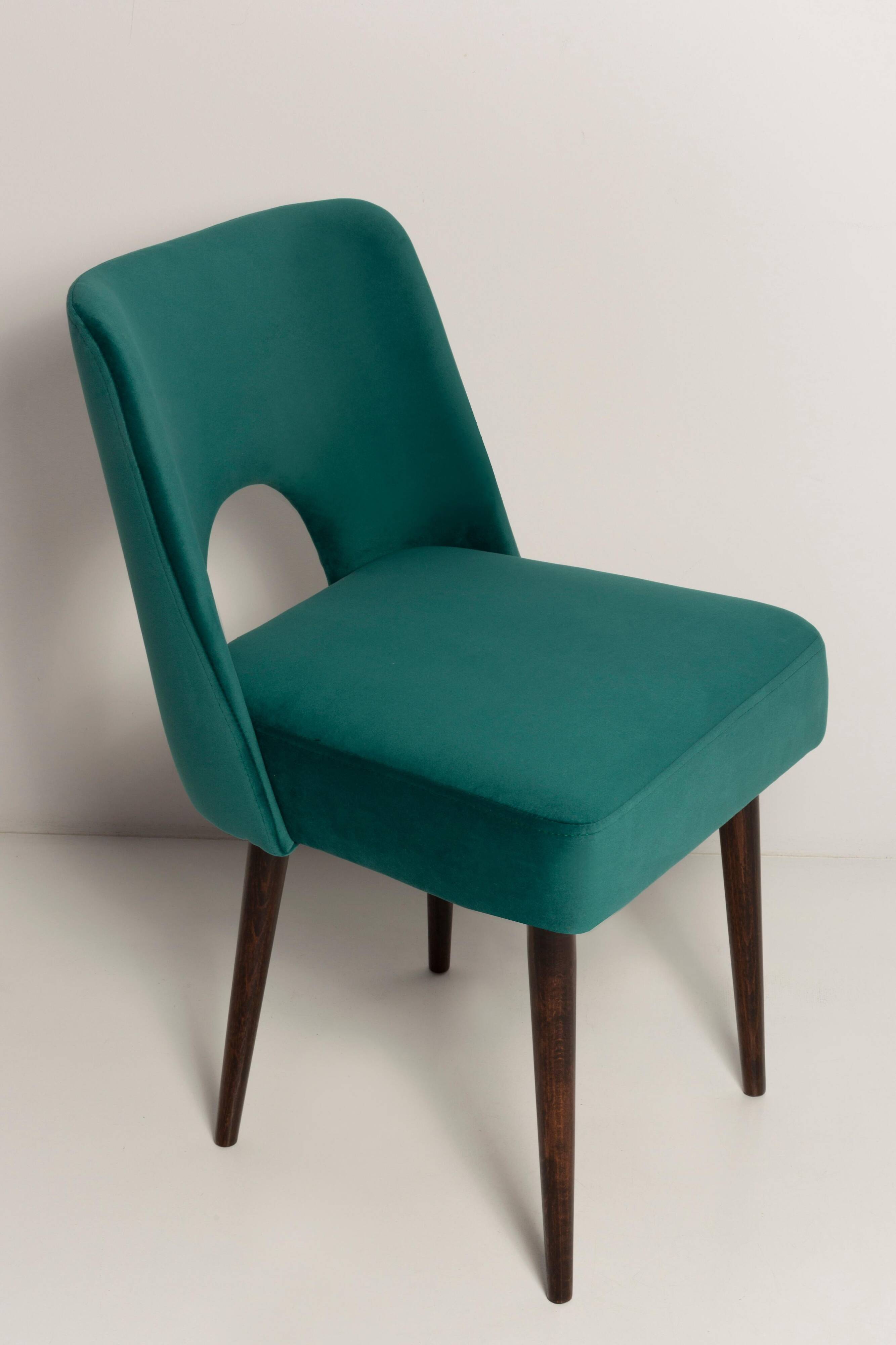 Chaise « shell » en velours crème et bois, Pologne, 1960s