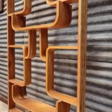 Claustra Ludvik Volák for Drevopodnik Holesov Room Divider separator