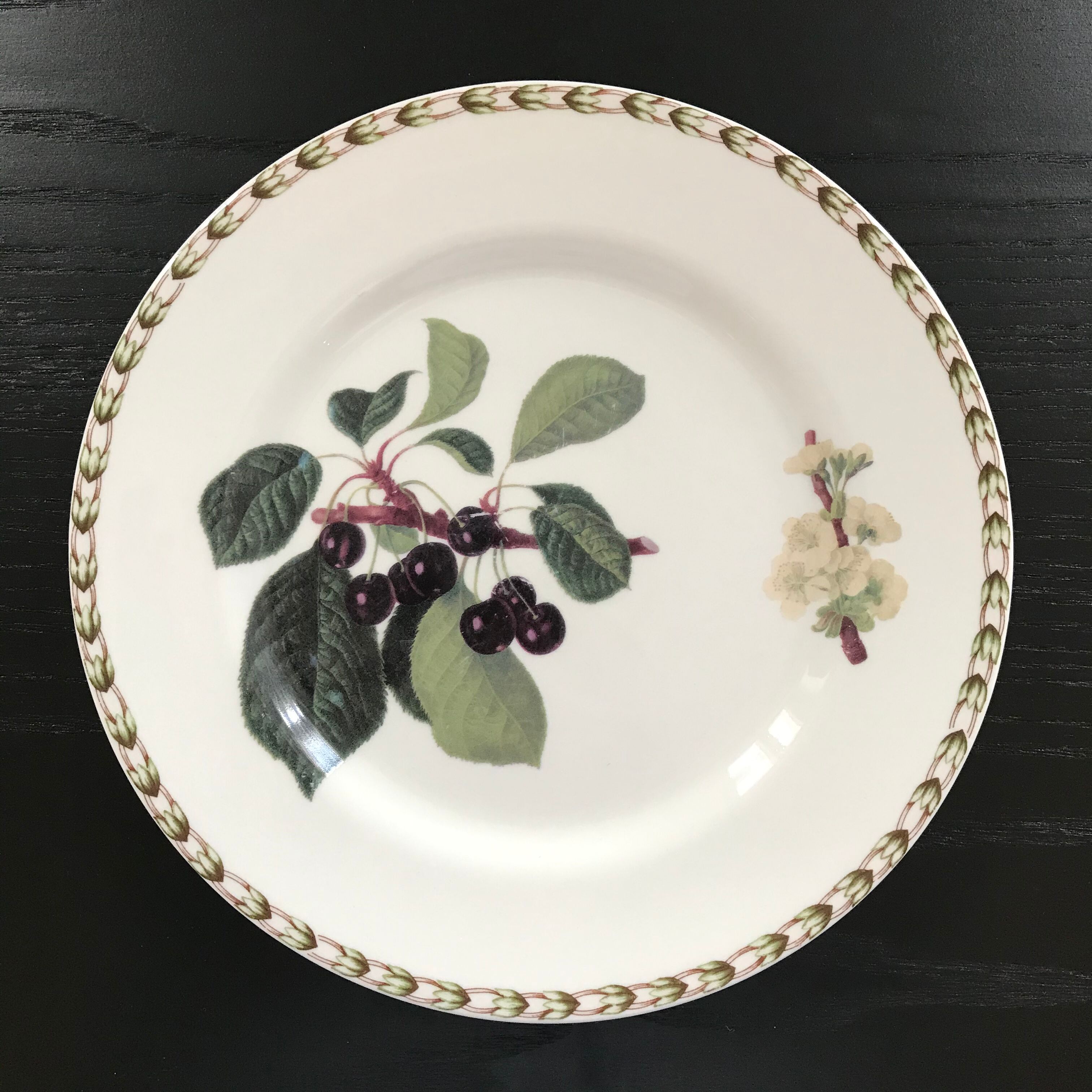 Lot of 6 plates botanical decoration