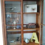 Library school 50 years