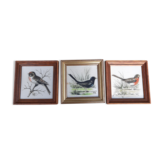 Series of 3 bird frames