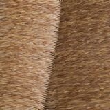 Set of Six Wooden Dining Dordogne Chairs by Charlotte Perriand, 1960s