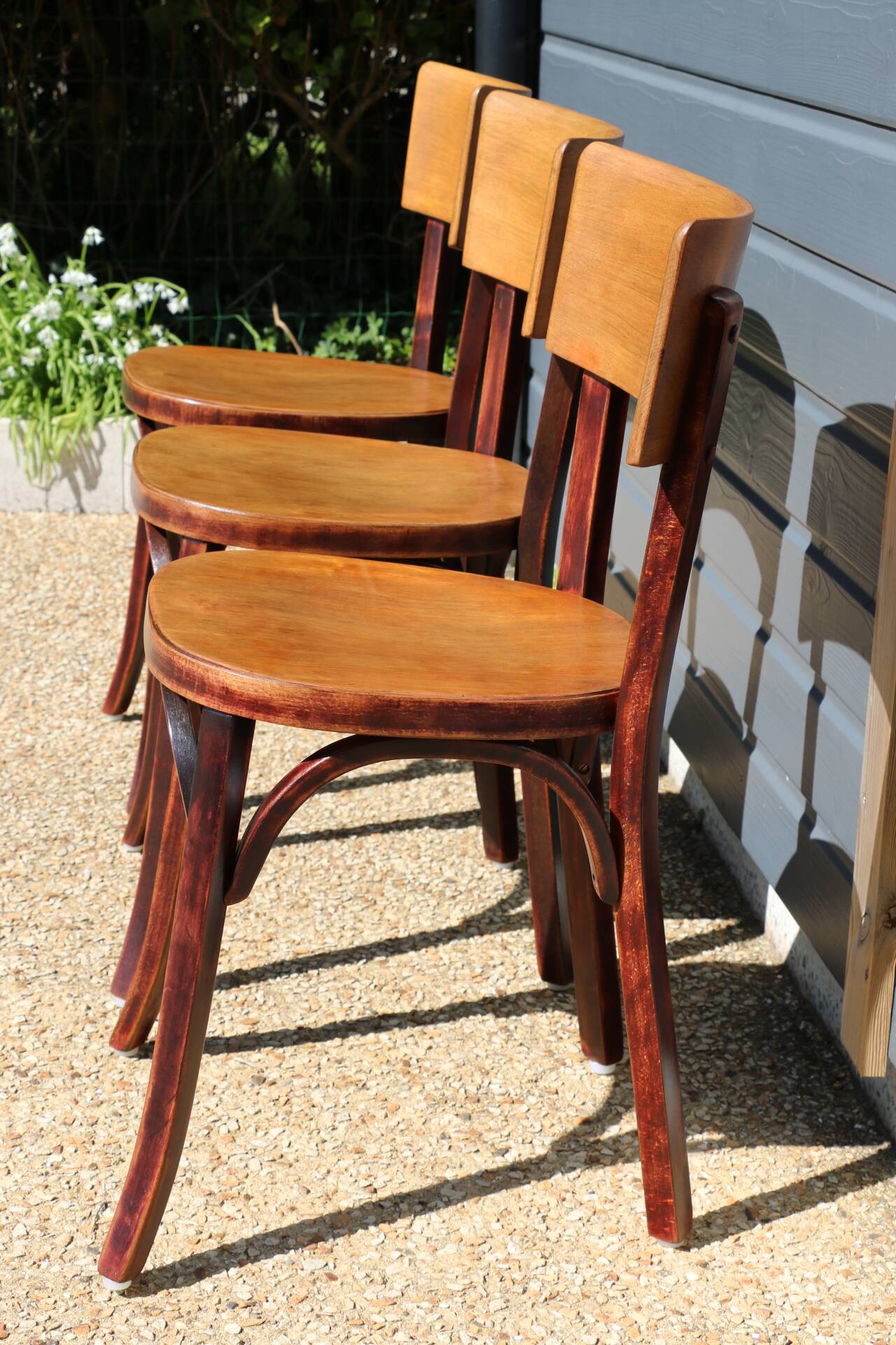 3 Baumann chairs with wide backs No. 30, dark beech
