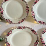 4 assiettes céranord à fleurs