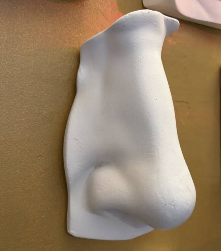 Nose and mouth in plaster of David by Michelangelo