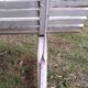 Old garden bench with metal legs and wooden slats