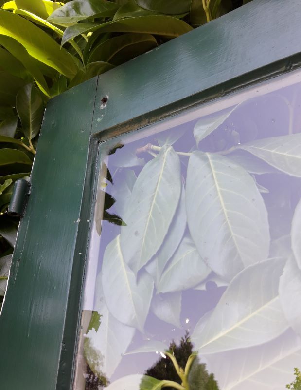 door 80x213cm Old oak glazed landing