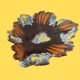 Vallauris ceramic dish