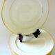 Twelve plates of Limoges porcelain tables