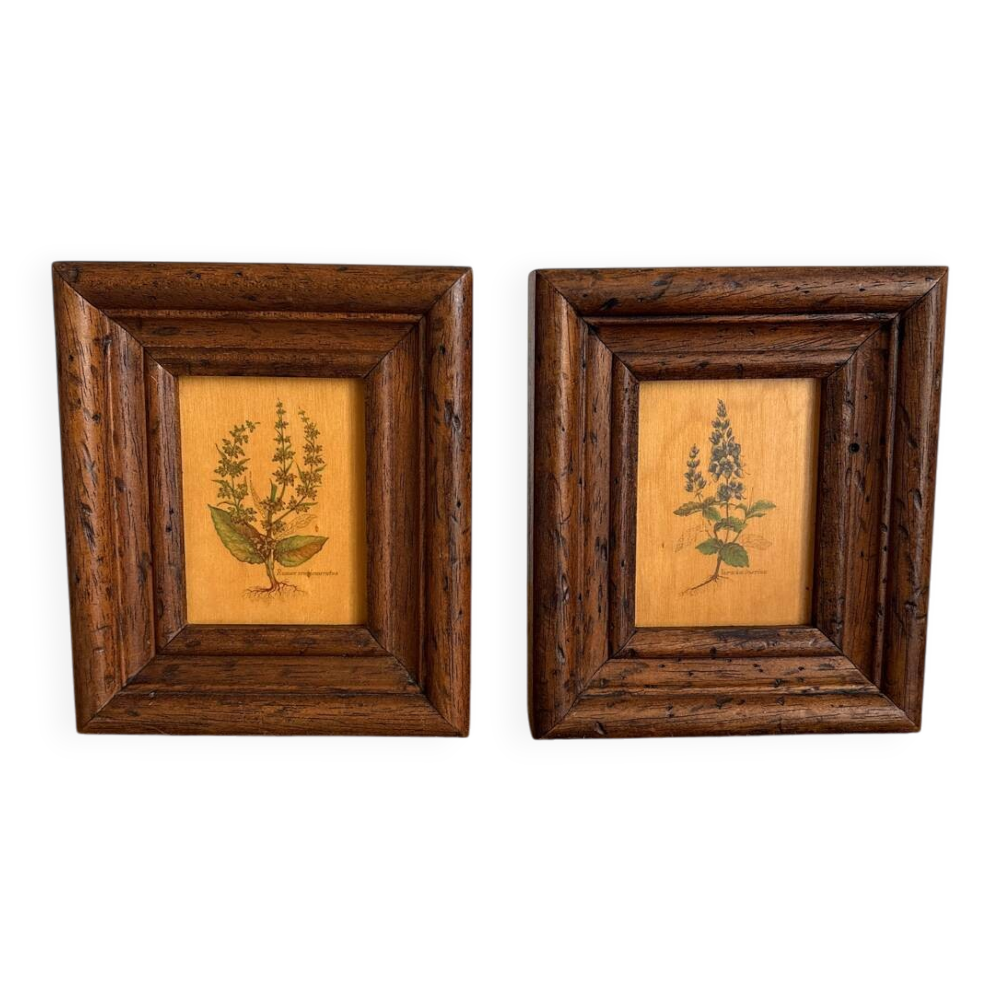 Set of 2 botanical decorative wooden frames, 13cm x 15.5cm