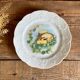 4 Limoges porcelain cheese plates “Wild Lier”