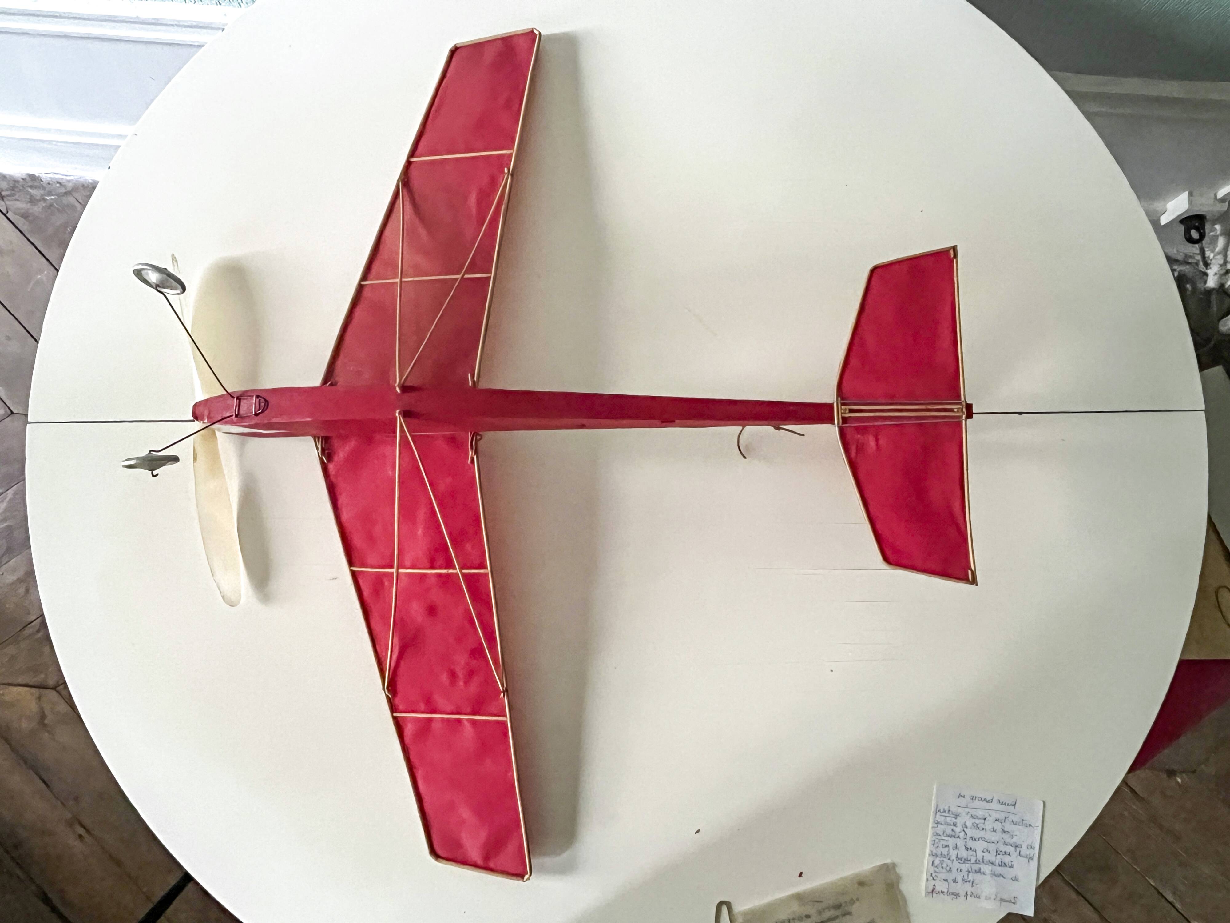 The French Airplane, "Grand Raid" model, Unmanned Aircraft, Unis France