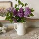 Old white earthenware jug