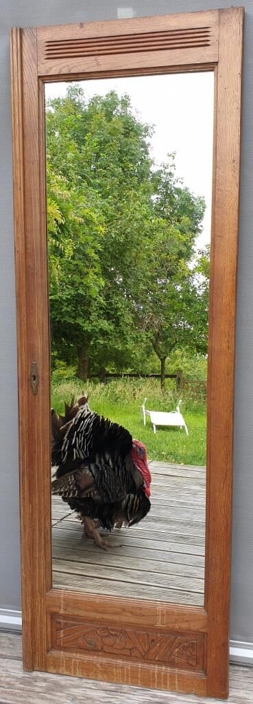 Art deco door mirror 88x174cm