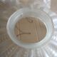 Vintage pleated glass lampshade with claw and socket.