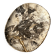 Very large pocket or dish in petrified wood