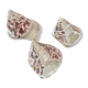 Lot 3 trocas gasteropod shells.