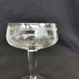 Champagne cups
