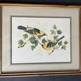 Table: Antique engraving by F Massa