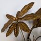 Golden leaf wall light 1970