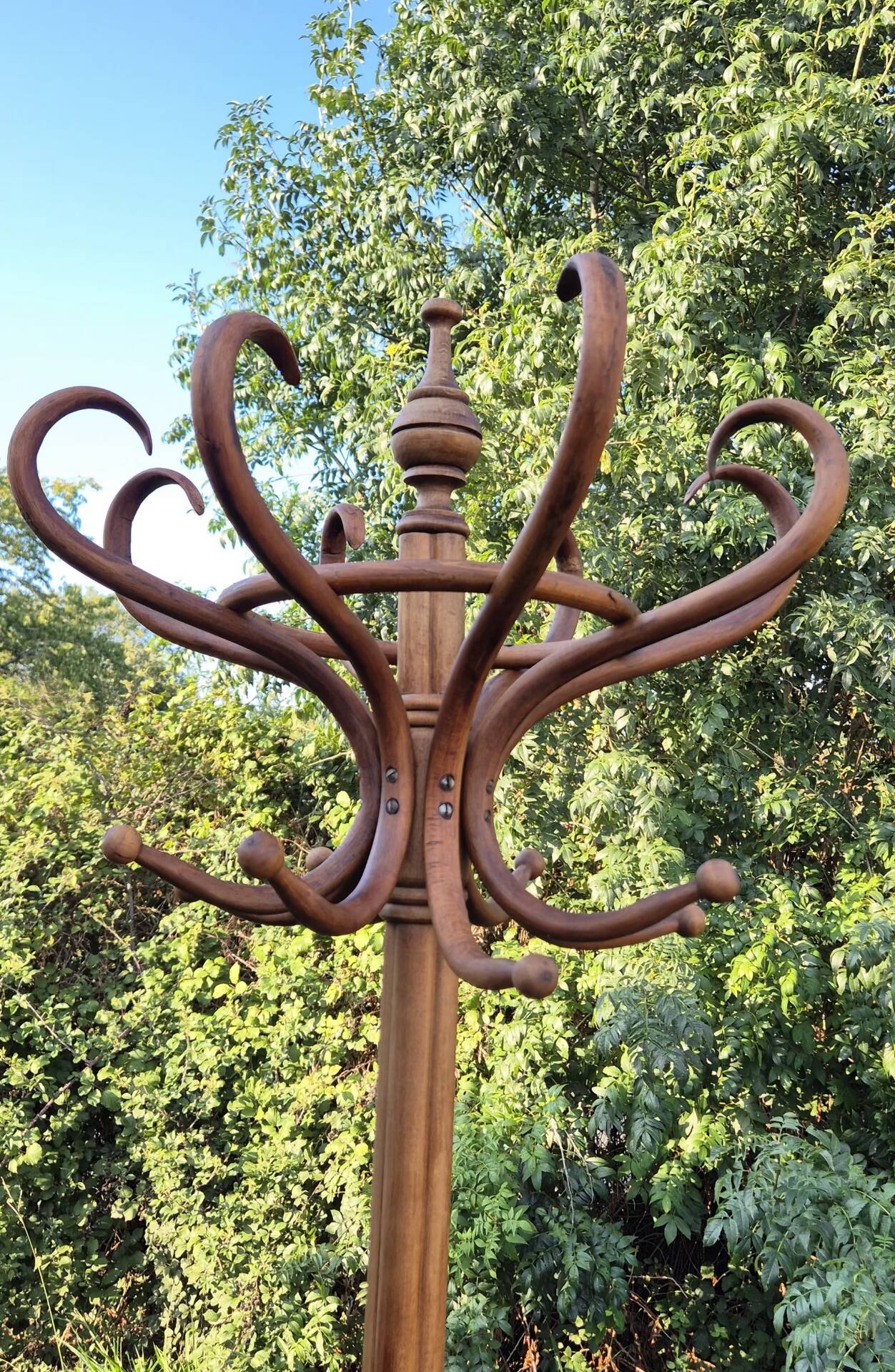 Vintage parrot coat rack in raw wood, renovated.