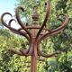 Vintage parrot coat rack in raw wood, renovated.