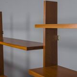 Mid-Century Shelf System by Dieter Wäckerlin for Behr, 1955
