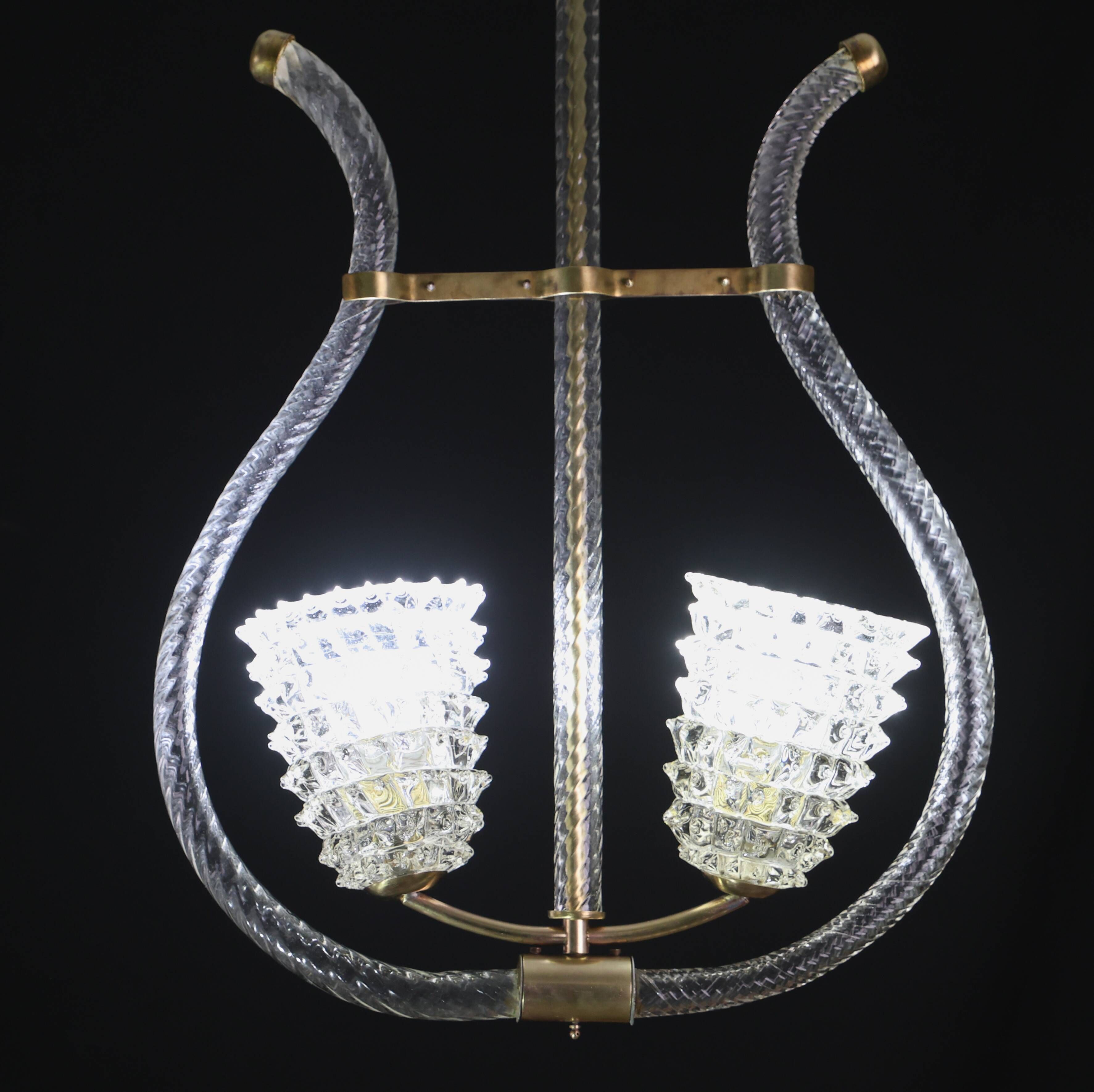 Amazing 2 Light Clear Rostrato Murano Glass Chandelier by Barovier & Toso,