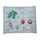Rossignol educational poster "The coffee tree and the Cassava" vintage