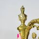 2 19th Century Gilt Bronze Wall Sconces with Molded Glass Globes in the Shape of