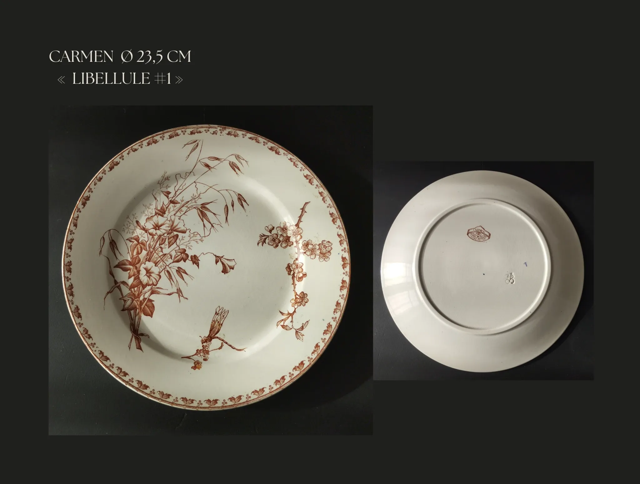7 flat plates in earthenware from Sarreguemines U&C "Carmen"