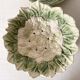 Drainer and sheet dish in cauliflower slip