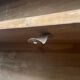 Large kitchen buffet cupboard chest of drawers
