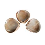 Set of three ceramic bowls