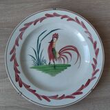 Large plate or semi-deep dish