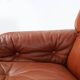 Brown leather 2-seater sofa Coronado by Tobia Scarpa for B&B Italia, Italy ca. 1960