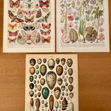 Reserved Laurence - Lot of 3 20th century lithos