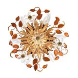 Mid-century Italian flush mount by Banci Firenze